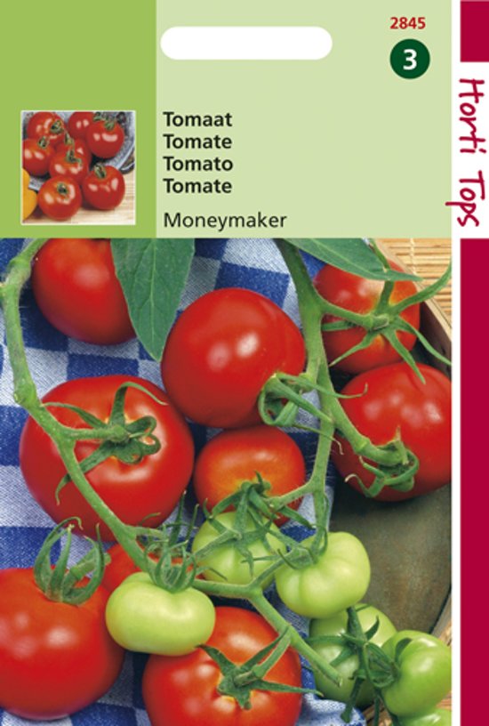 Tomaat Moneymaker (Solanum lycopersicum) 800 zaden HT